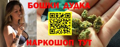 spice Моздок